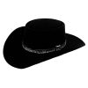 Stetson Stetson Revenger 4X Felt Chocolate Cowboy Hat (SBRVGR-463422) Black ‎unisex-ad Hats & Caps