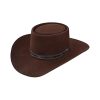 Stetson Revenger - (4X) Buffalo Felt Cowboy Hat (7 3/4, Chocolate) Stetson ‎mens Hats & Caps