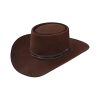 Stetson Men's 4X Buffalo Revenger Felt Gambler Hat (6 7/8, Chocolate) Stetson ‎mens Hats & Caps